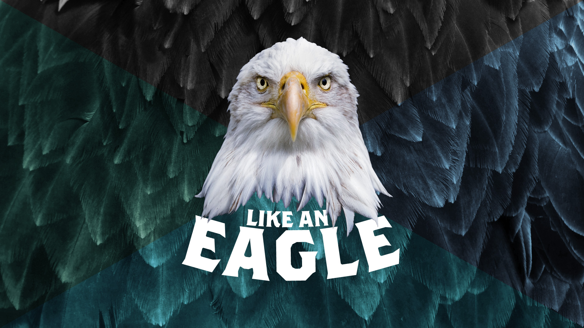 Like an Eagle - Lift up your limit