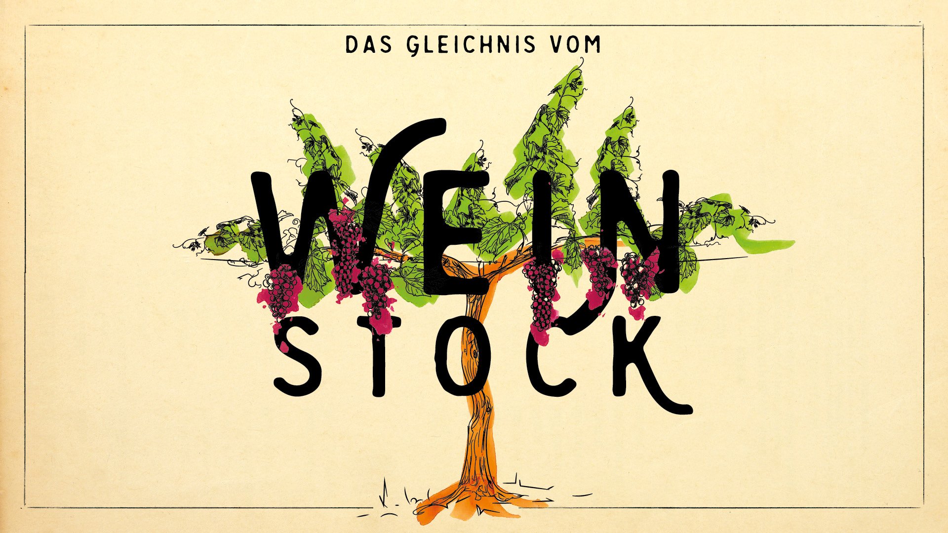 Weinstock - Zeit zum Beginnen